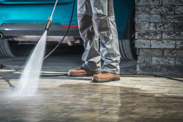 Best Rust Removal  in Fenton, MI