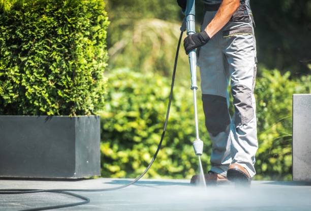 Best Boat and Dock Cleaning  in Fenton, MI